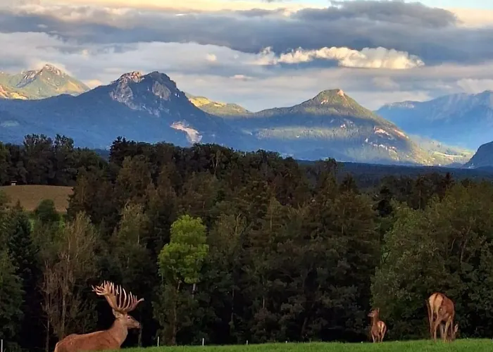 Holzfass Entspannung Pur Mit Schoenstem Bergblick 3 * Bad Aibling