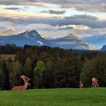 Holzfass Entspannung Pur Mit Schoenstem Bergblick 3 * Bad Aibling