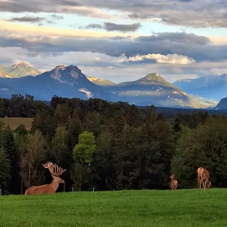 Holzfass Entspannung Pur Mit Schoenstem Bergblick 3 * Bad Aibling
